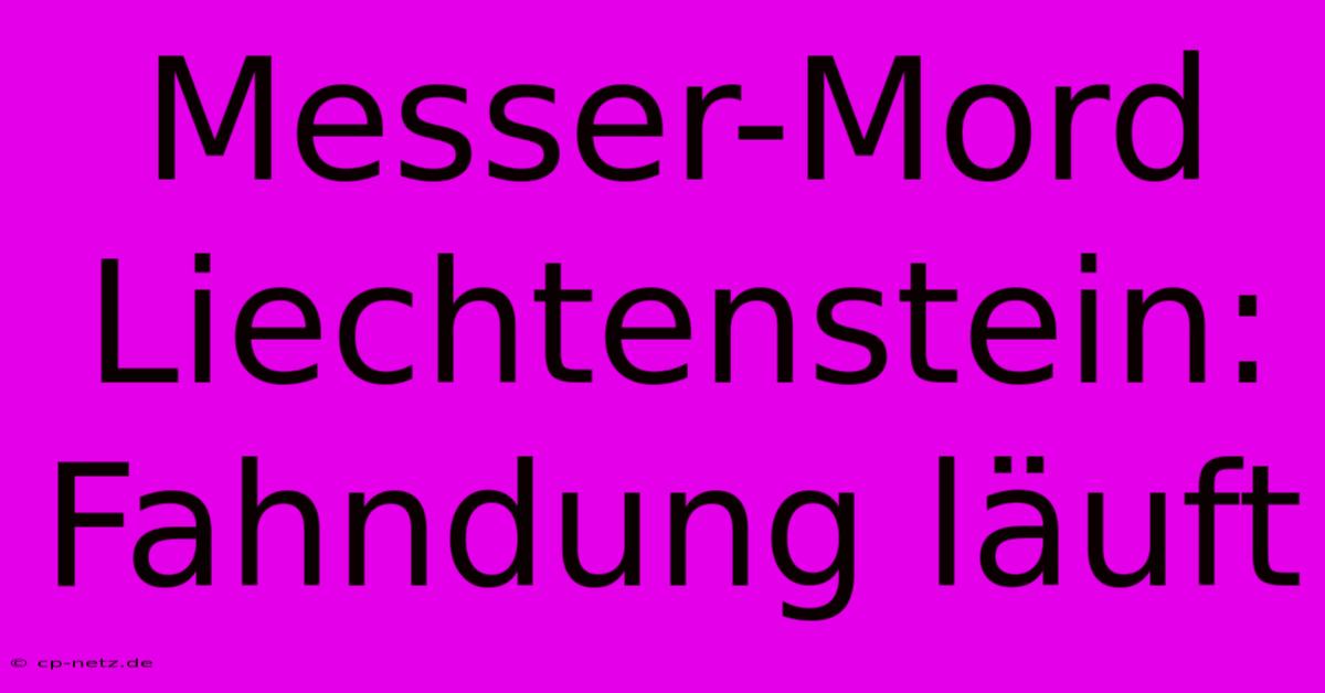 Messer-Mord Liechtenstein: Fahndung Läuft