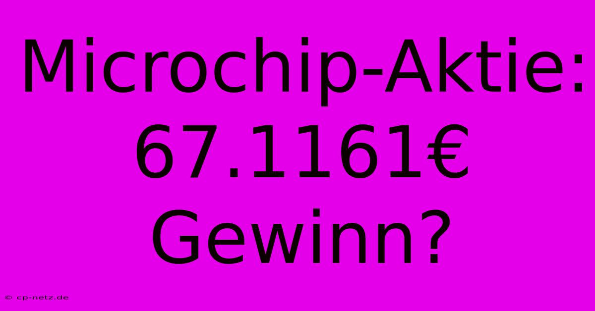 Microchip-Aktie: 67.1161€ Gewinn?