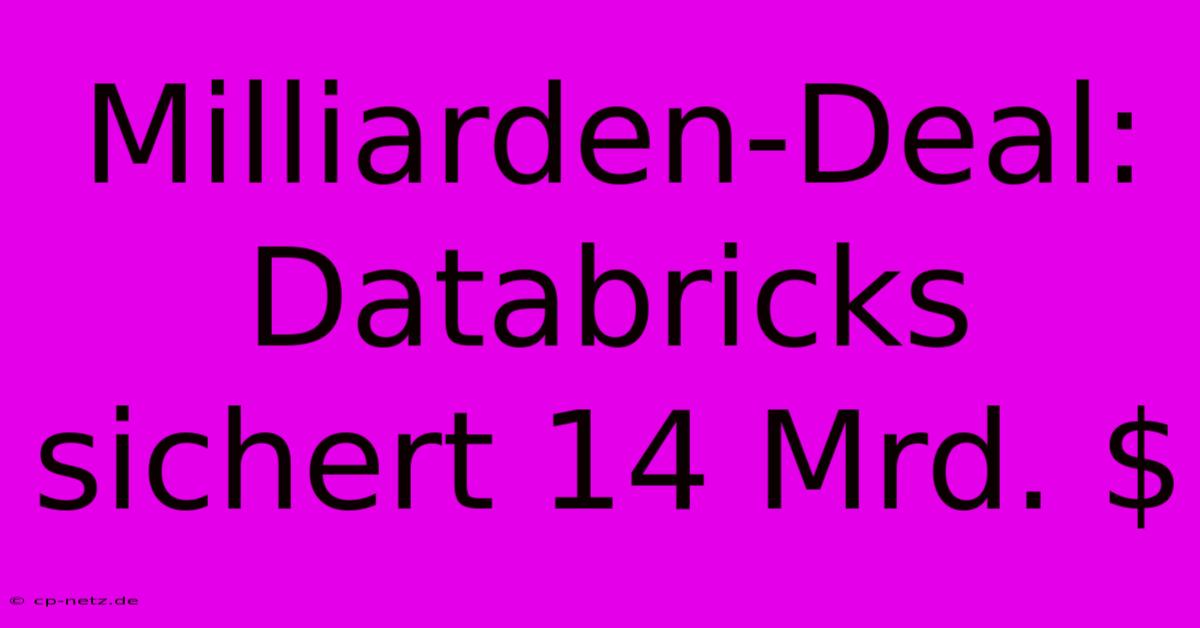 Milliarden-Deal: Databricks Sichert 14 Mrd. $