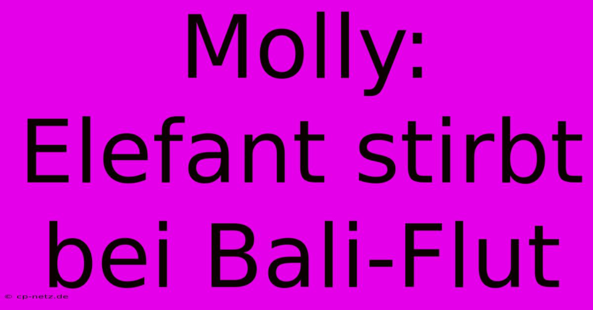 Molly: Elefant Stirbt Bei Bali-Flut