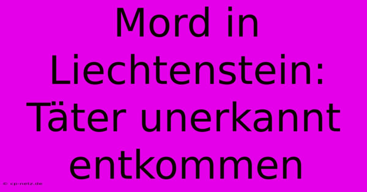 Mord In Liechtenstein: Täter Unerkannt Entkommen