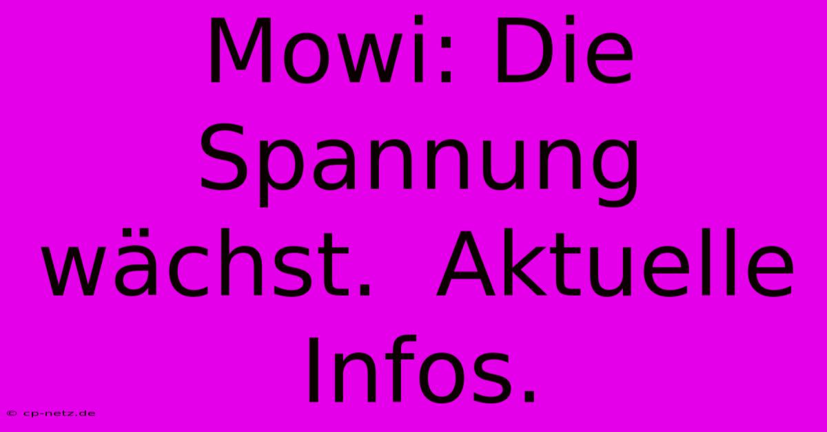 Mowi: Die Spannung Wächst.  Aktuelle Infos.