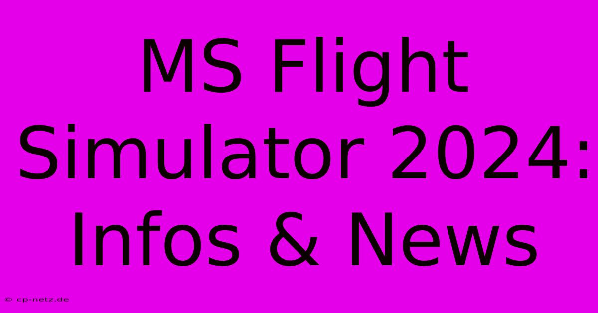 MS Flight Simulator 2024: Infos & News