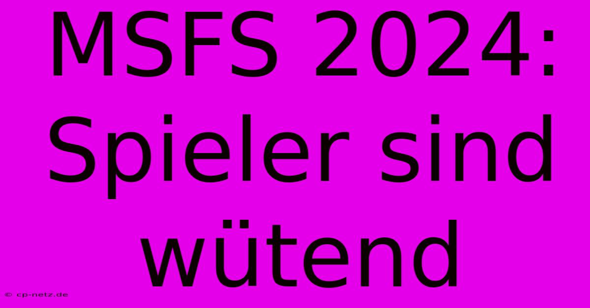 MSFS 2024: Spieler Sind Wütend