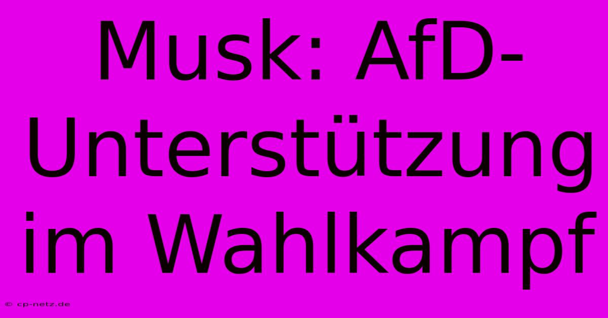 Musk: AfD-Unterstützung Im Wahlkampf