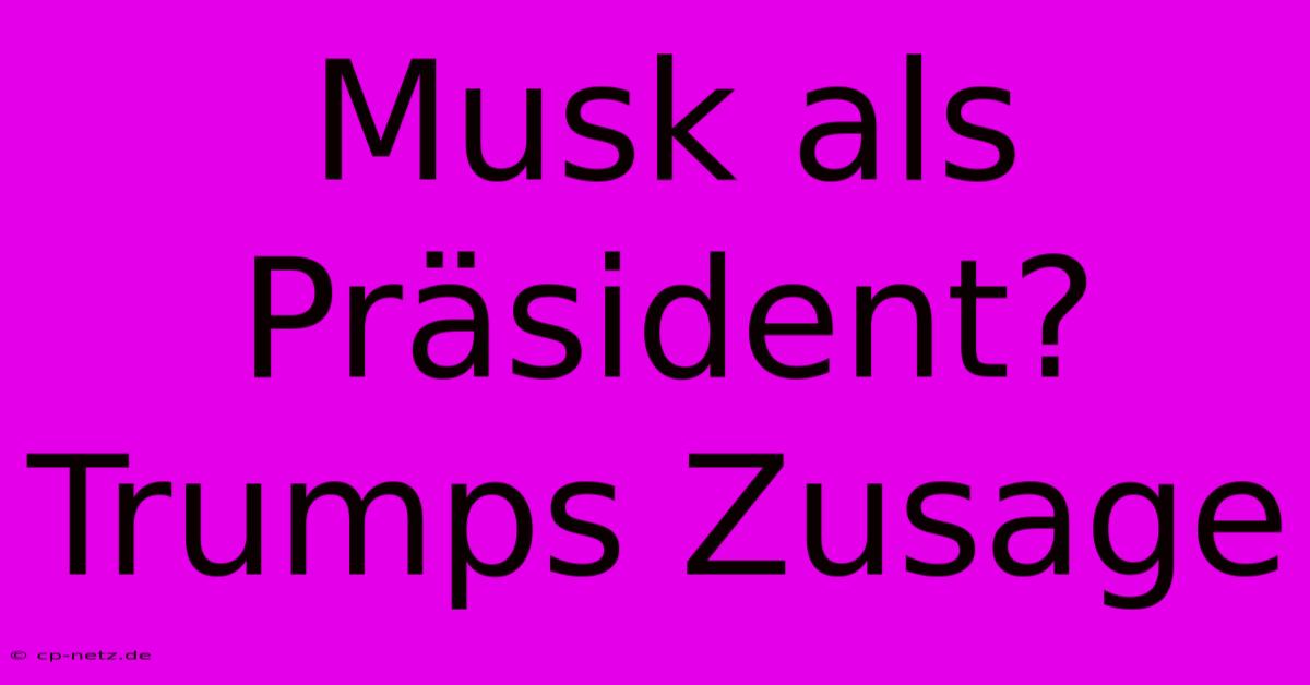 Musk Als Präsident? Trumps Zusage