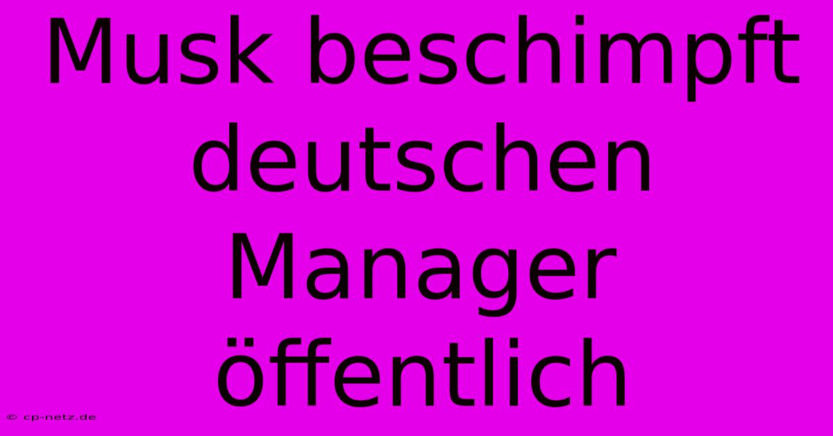 Musk Beschimpft Deutschen Manager Öffentlich