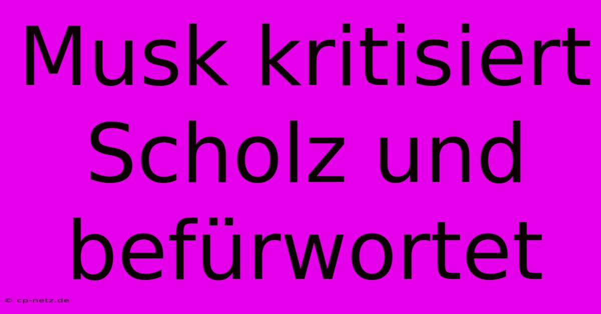 Musk Kritisiert Scholz Und Befürwortet