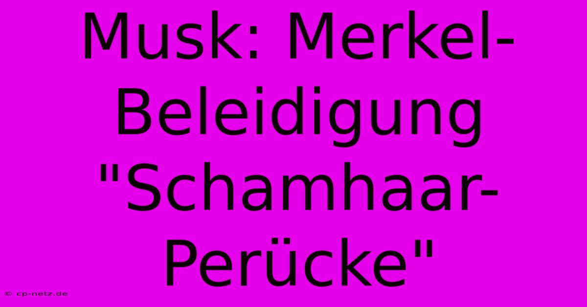 Musk: Merkel-Beleidigung 