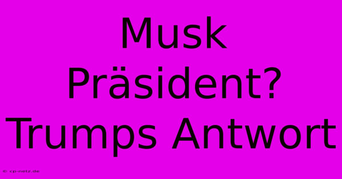 Musk Präsident? Trumps Antwort