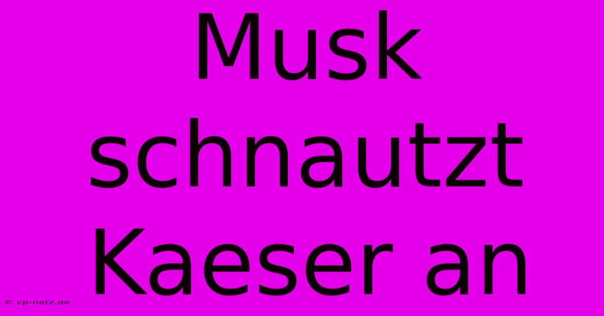 Musk Schnautzt Kaeser An