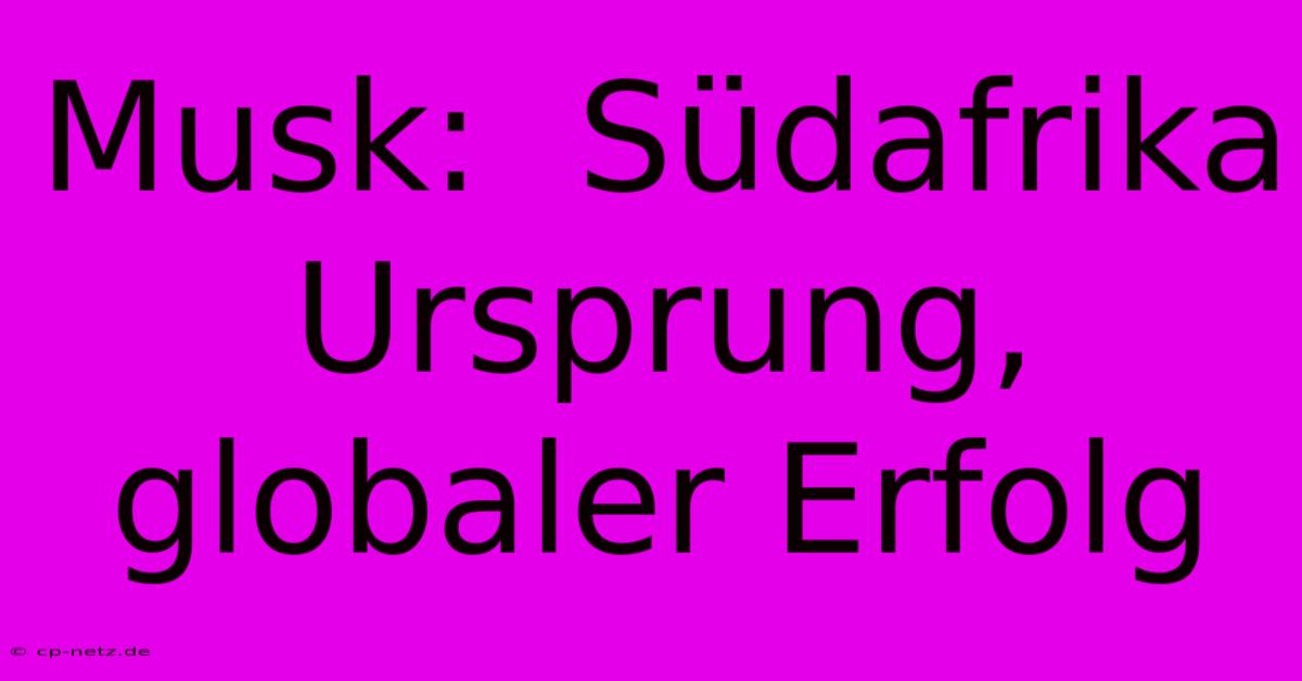 Musk:  Südafrika Ursprung, Globaler Erfolg