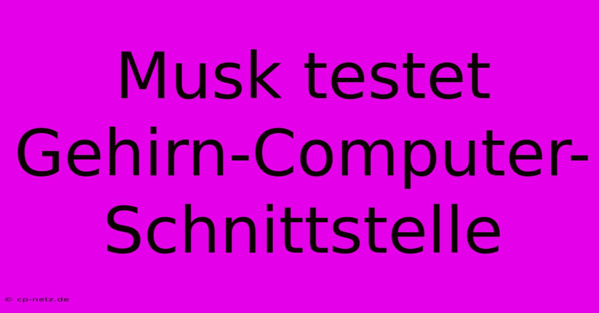 Musk Testet Gehirn-Computer-Schnittstelle