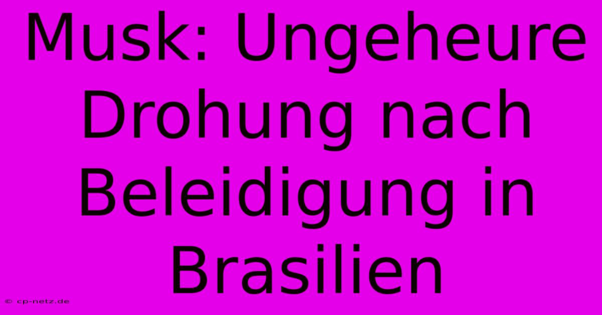Musk: Ungeheure Drohung Nach Beleidigung In Brasilien