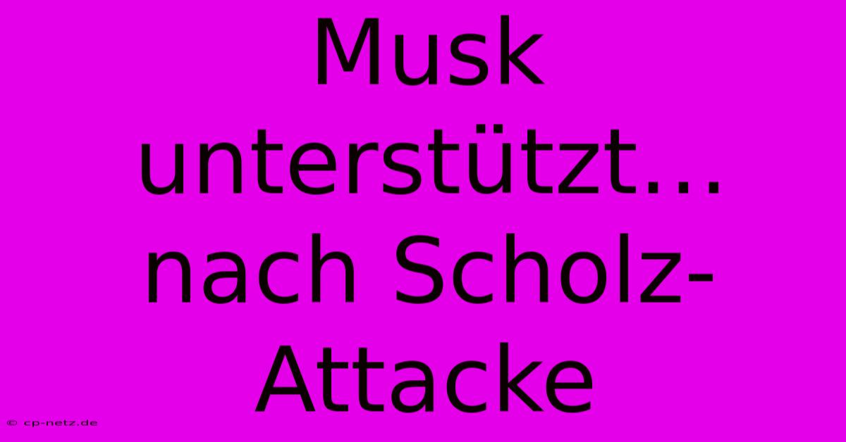 Musk Unterstützt… Nach Scholz-Attacke