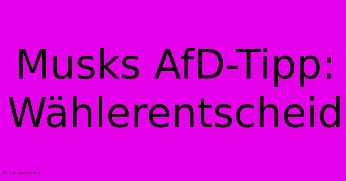 Musks AfD-Tipp: Wählerentscheid