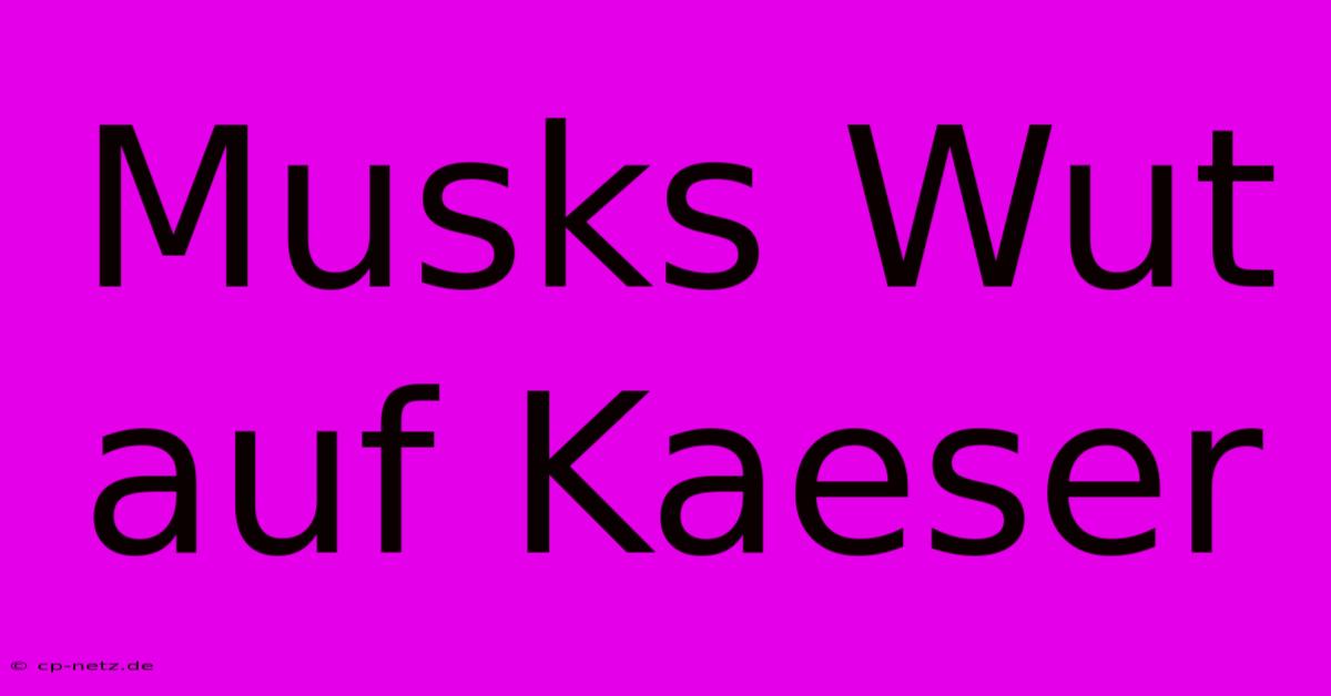 Musks Wut Auf Kaeser