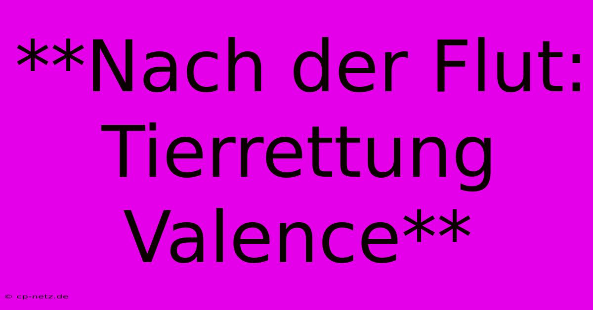 **Nach Der Flut: Tierrettung Valence**