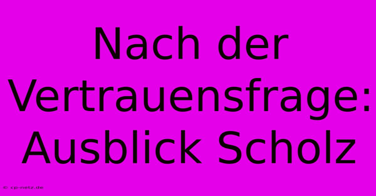 Nach Der Vertrauensfrage: Ausblick Scholz