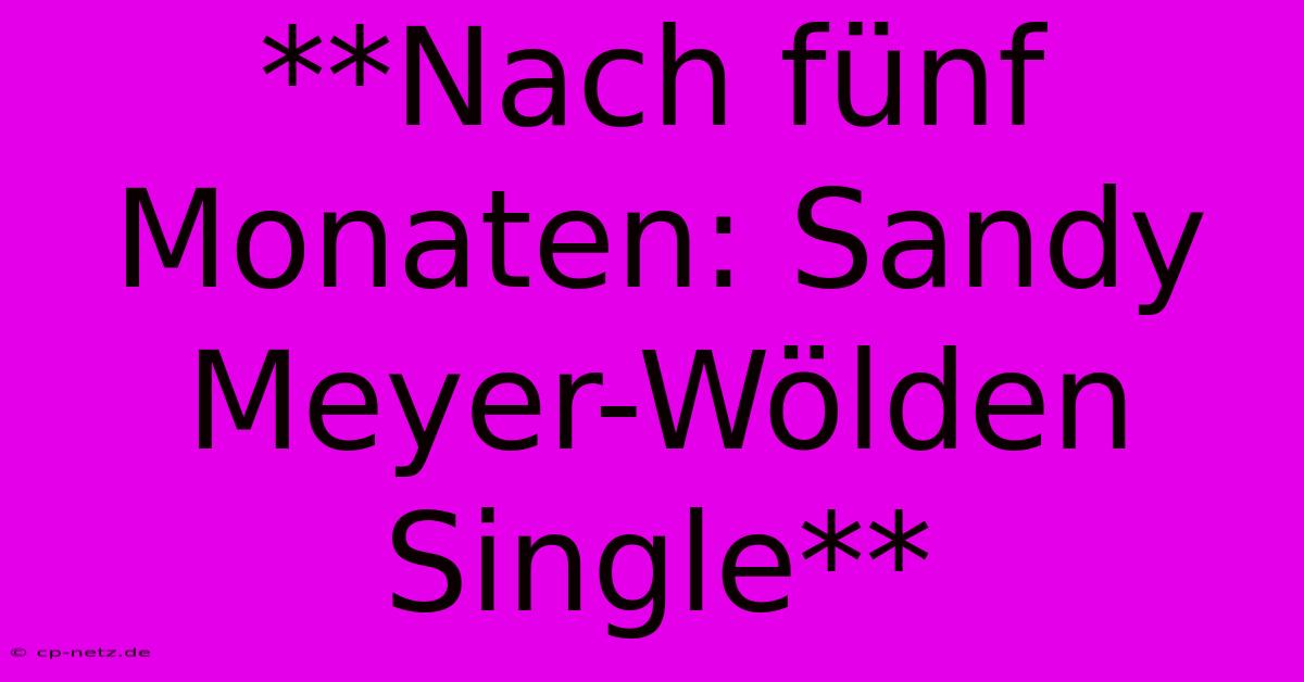 **Nach Fünf Monaten: Sandy Meyer-Wölden Single** 