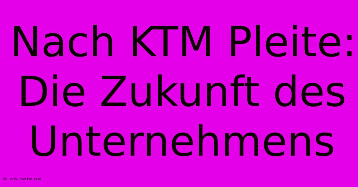 Nach KTM Pleite:  Die Zukunft Des Unternehmens