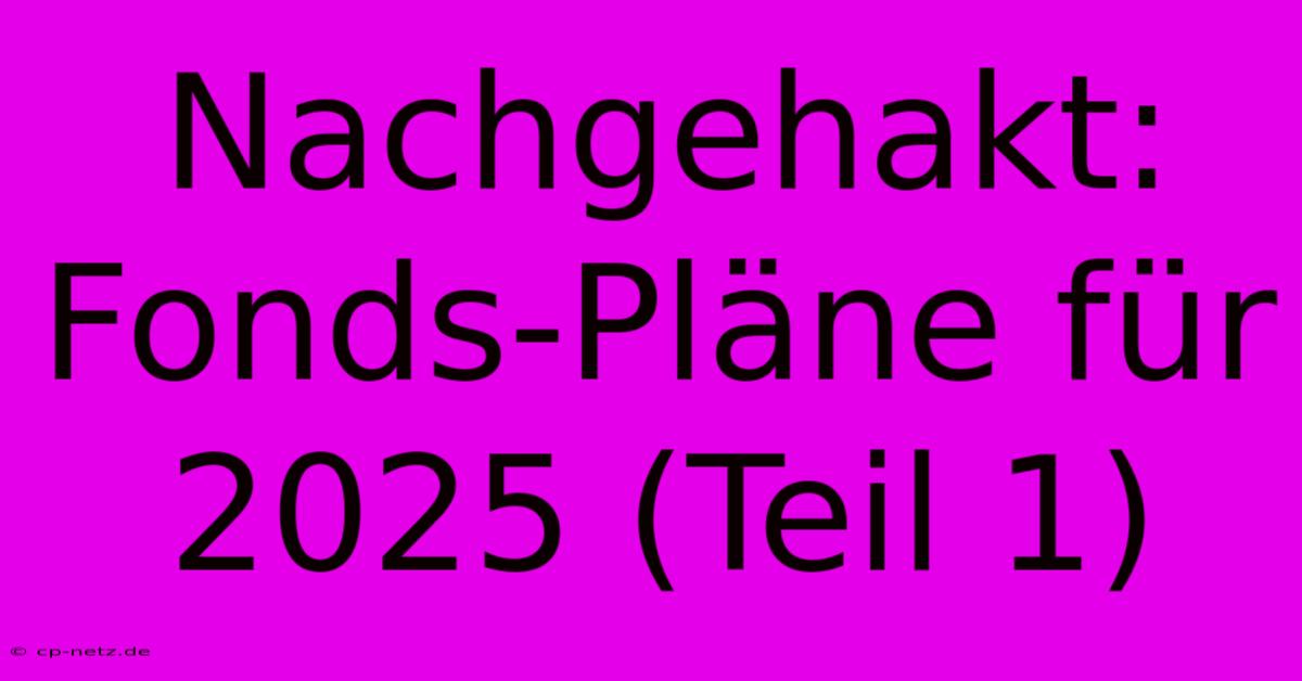 Nachgehakt: Fonds-Pläne Für 2025 (Teil 1)