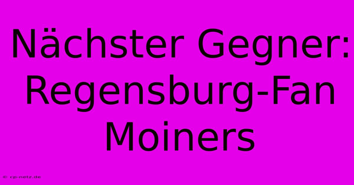 Nächster Gegner:  Regensburg-Fan Moiners