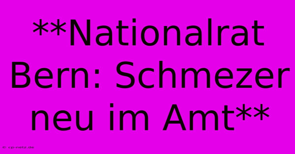 **Nationalrat Bern: Schmezer Neu Im Amt**