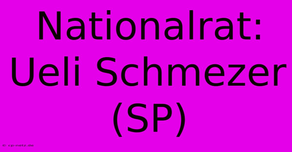 Nationalrat: Ueli Schmezer (SP)