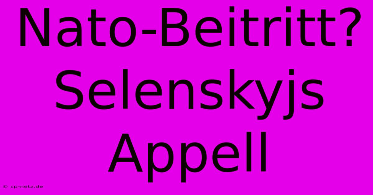 Nato-Beitritt? Selenskyjs Appell