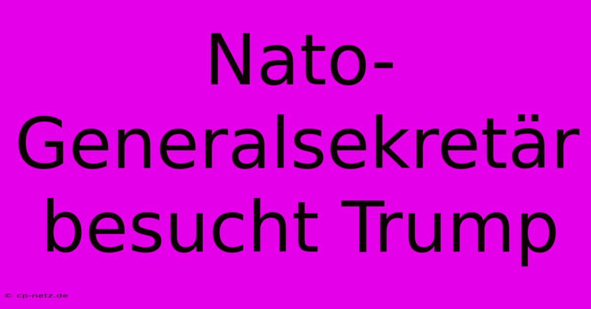 Nato-Generalsekretär Besucht Trump