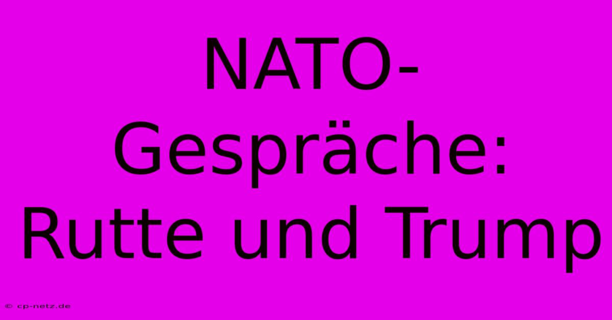 NATO-Gespräche: Rutte Und Trump