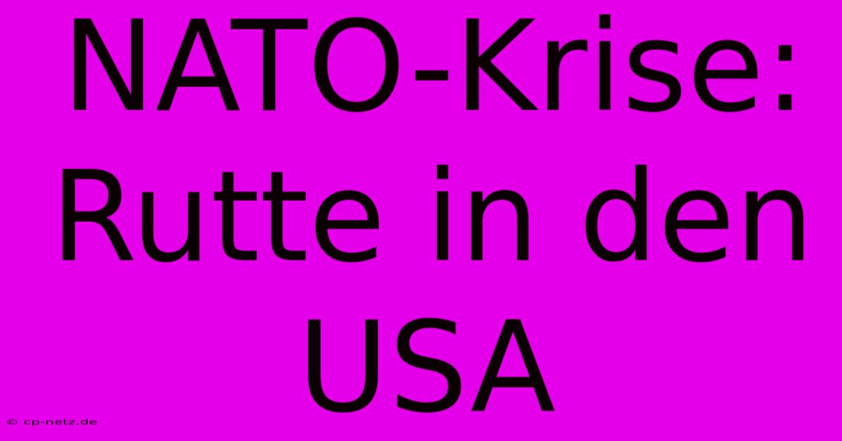 NATO-Krise: Rutte In Den USA