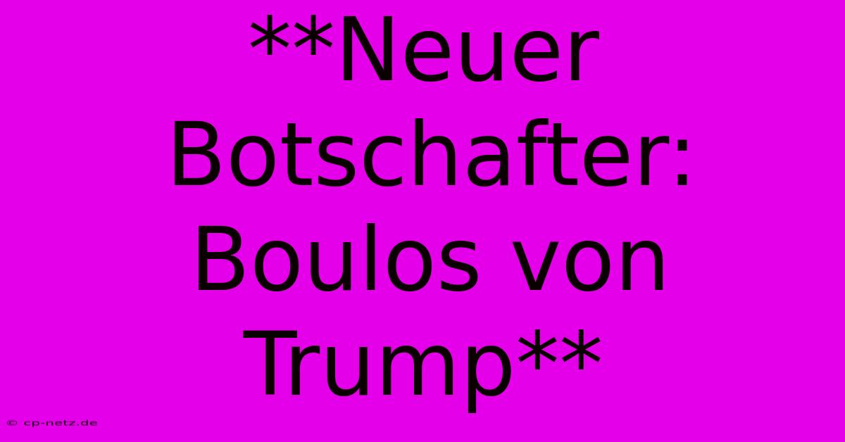 **Neuer Botschafter: Boulos Von Trump**