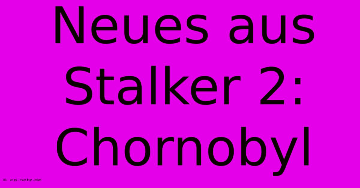 Neues Aus Stalker 2: Chornobyl