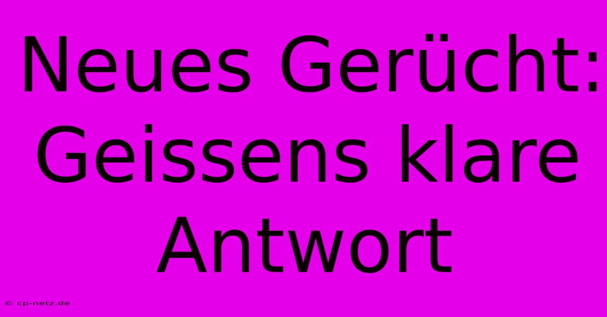 Neues Gerücht: Geissens Klare Antwort