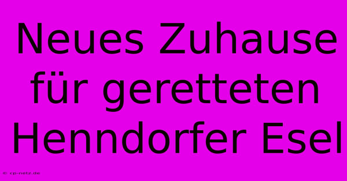 Neues Zuhause Für Geretteten Henndorfer Esel