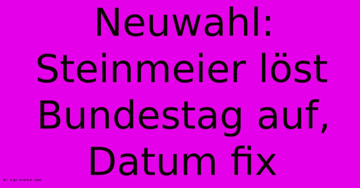 Neuwahl: Steinmeier Löst Bundestag Auf, Datum Fix