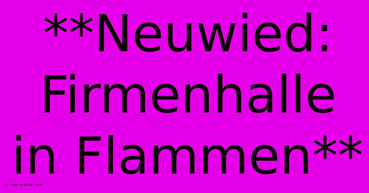 **Neuwied: Firmenhalle In Flammen**