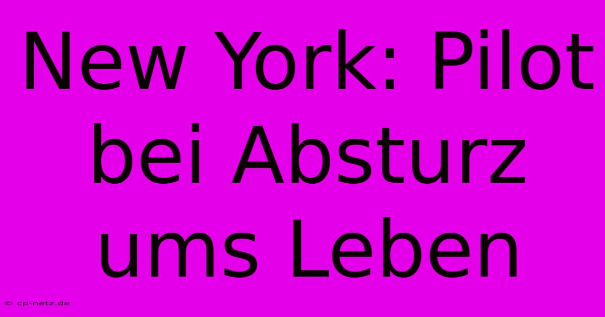 New York: Pilot Bei Absturz Ums Leben