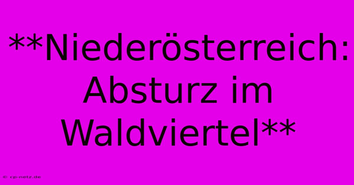 **Niederösterreich: Absturz Im Waldviertel**