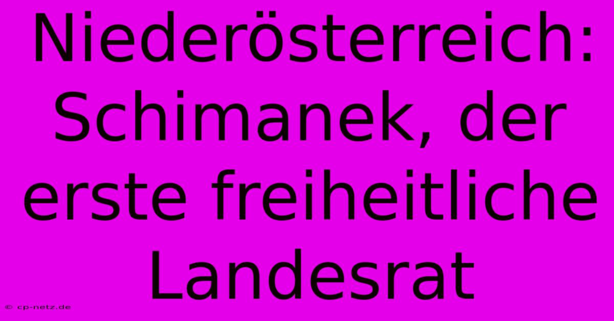 Niederösterreich: Schimanek, Der Erste Freiheitliche Landesrat