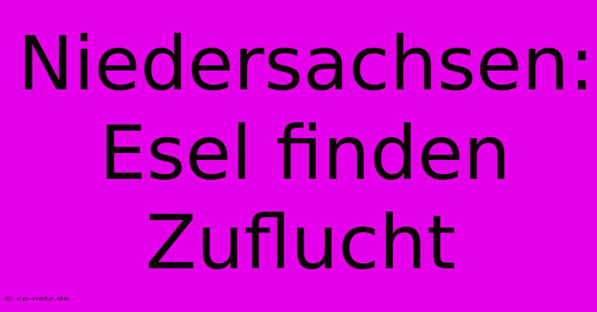 Niedersachsen: Esel Finden Zuflucht