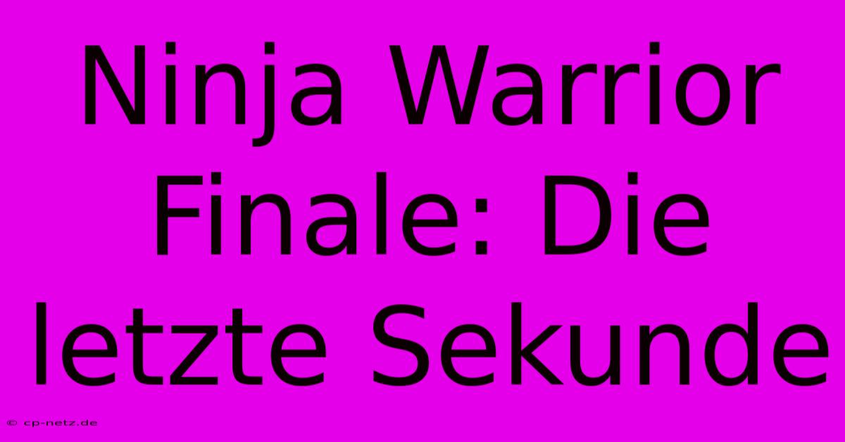 Ninja Warrior Finale: Die Letzte Sekunde