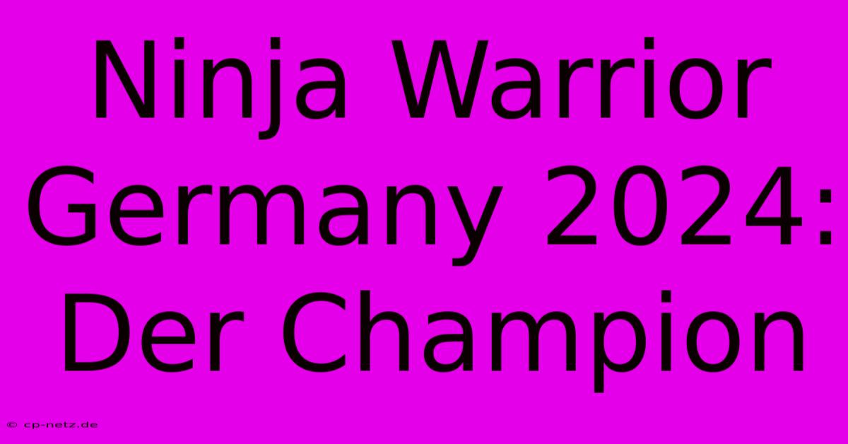 Ninja Warrior Germany 2024: Der Champion