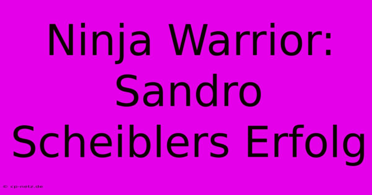 Ninja Warrior: Sandro Scheiblers Erfolg