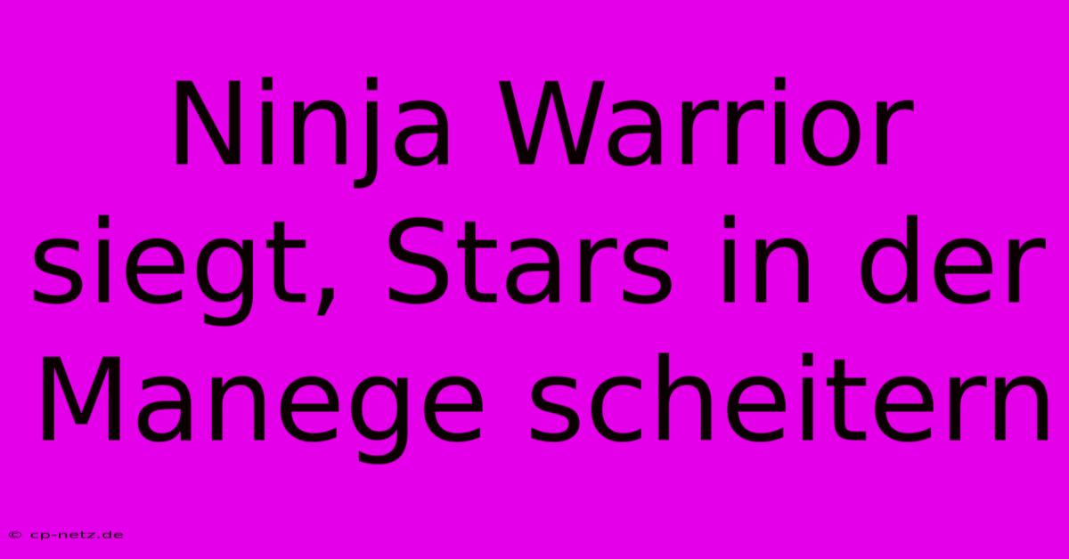 Ninja Warrior Siegt, Stars In Der Manege Scheitern