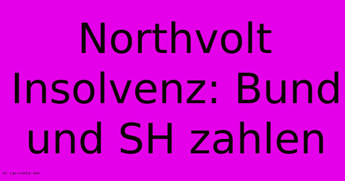 Northvolt Insolvenz: Bund Und SH Zahlen