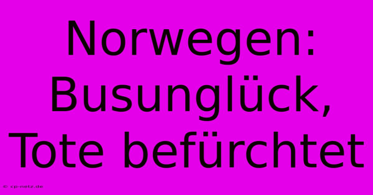 Norwegen: Busunglück, Tote Befürchtet