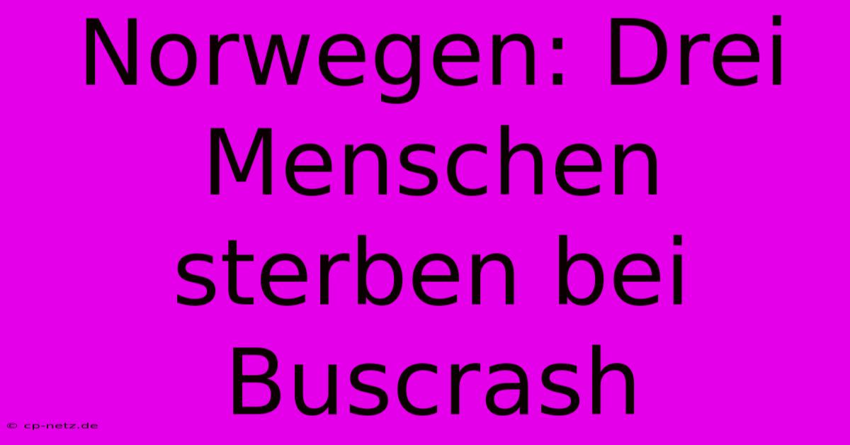 Norwegen: Drei Menschen Sterben Bei Buscrash